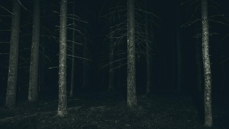 dark-forest-m-1.png