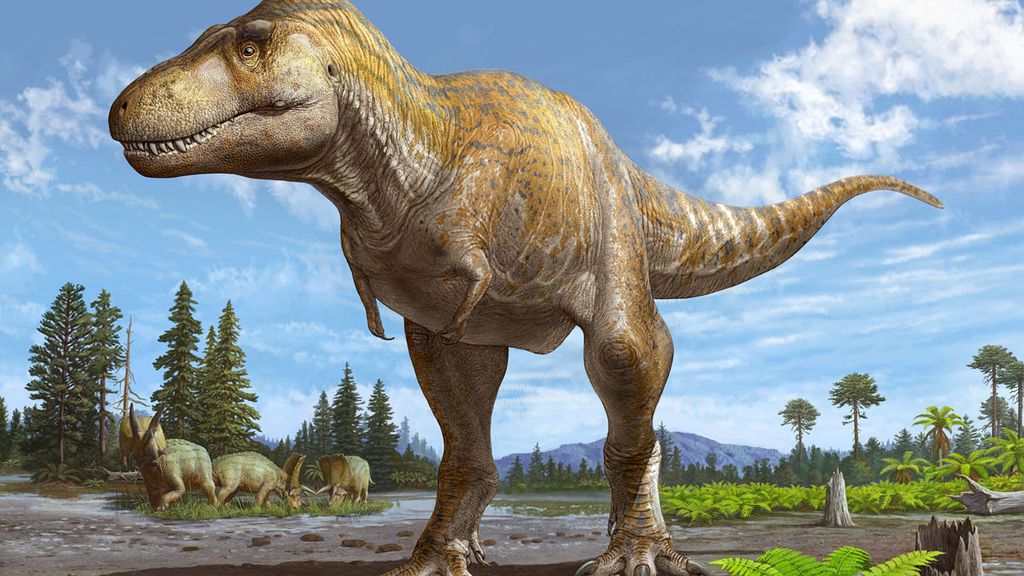 Scoperta nuova specie di Tirannosauro, più grande del T. rex – Scienze ...