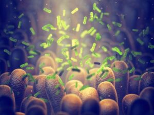 gut-microbiome-m.jpg