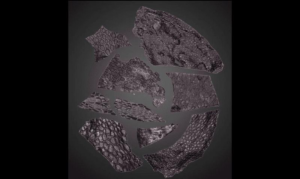 oldest-fossil-skin-m.png