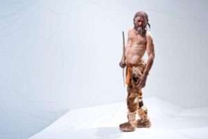 otzi-the-iceman-m.jpg