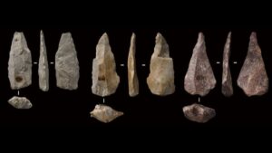 stone-tools-header-1-1.jpg