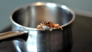 unboiled-frog-m.png