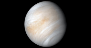 venus-m.png