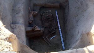 2BAE17E200000578-0-Archaeologists_discovered_the_remains_of_a_Scythian_warrior_king-a-3_1440606464253-2-1.jpg