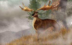 irish-elk-m.jpg