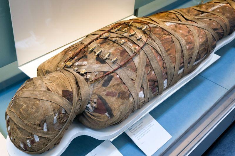 Parassiti delle mummie egiziane