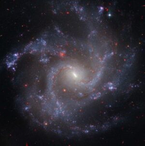 galaxy-m.jpg