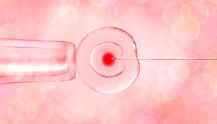 ivf-m-1.jpg