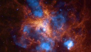 tarantula-nebula-m.png