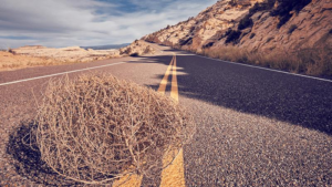 tumbleweed-m.png