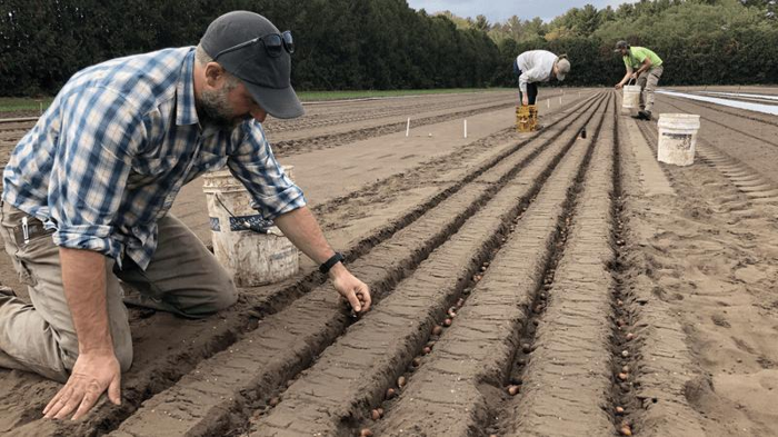 piantare semi per la migrazione assistita delle foreste