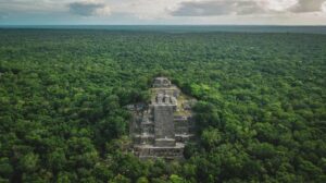 calakmul-m.jpg