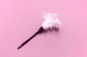 feather-duster-m.jpg