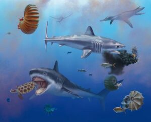 ptychodus-giant-shark-paleoart-m.jpg