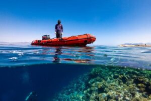 I coralli nel Mar Rosso si fermano appena sotto la superficie dell'acqua vicino alla riva.