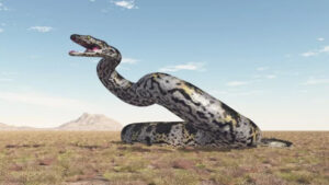 titanoboa-1.jpg