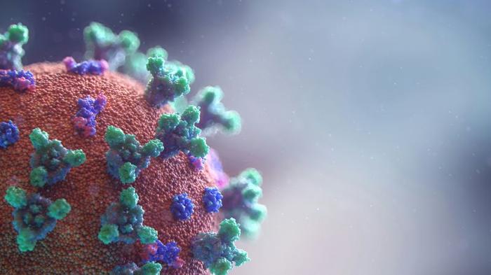 virus-m-1.jpg