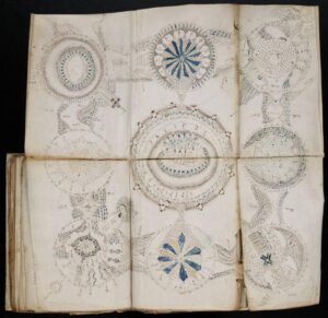 voynich-manuscript-s-famous-rosette-illustration-m.jpg