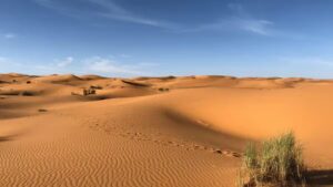 430371-sahara-desert-1.jpg