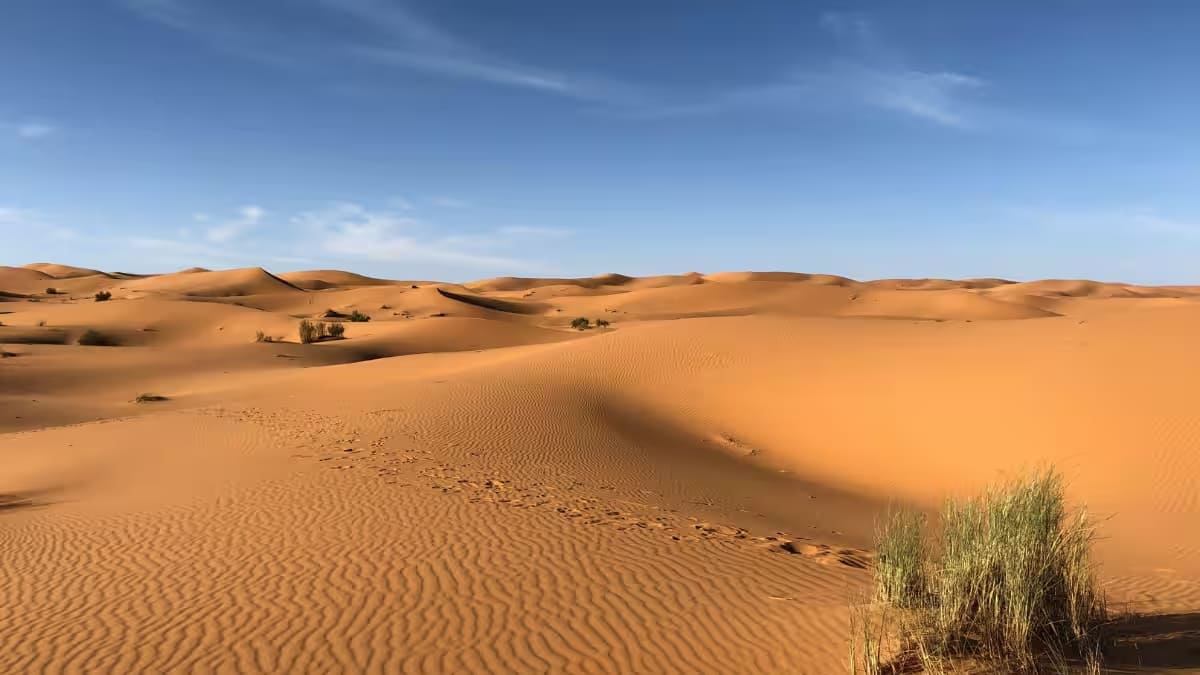 Arte rupestre scoperta dimostra il Sahara come luogo totalmente diverso 4.000 anni fa