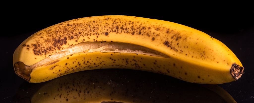 Gli incredibili effetti benefici della buccia di banana usata come ingrediente