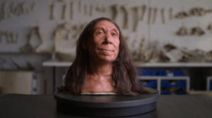 shanidar-neanderthal-woman-face-m.png