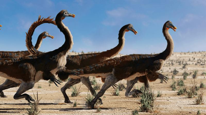Quanto erano veloci i dinosauri? Il mistero della corsa preistorica