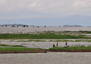 Image13-RuralFloodedwithDaukiFault1Goodbred-RCQ5qjWSxV17whvti9hARgK-1200x840@diario_abc.webp