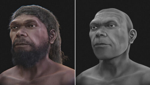 Ecco com’era il volto del “primo essere umano”, vissuto 300.000 anni fa