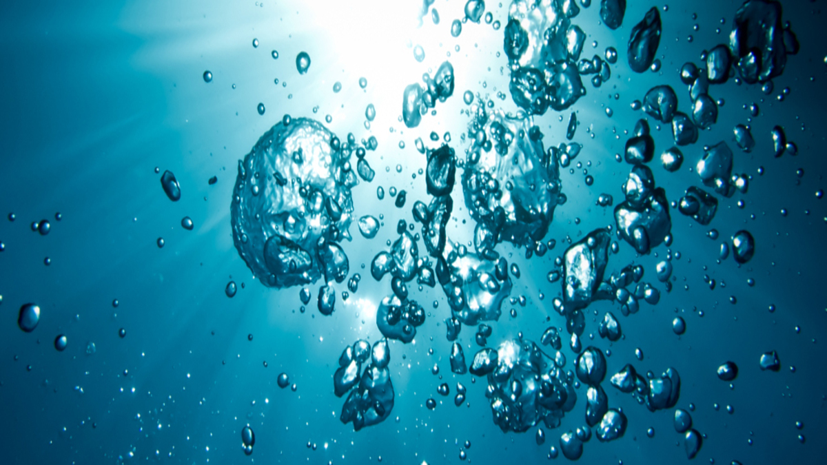 BunchesOfBubblesInWaterRisingTowardsTheLight-1.jpg