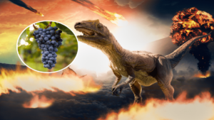 dinosaur-mass-extinction-grape-bunch-1.png