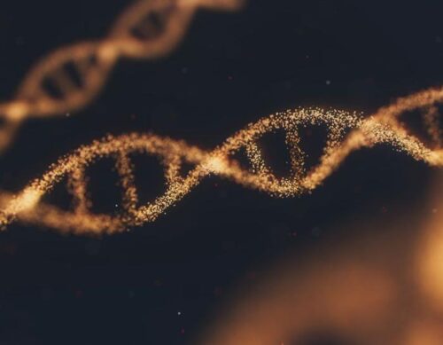 Il DNA più antico del mondo: scoperte e segreti