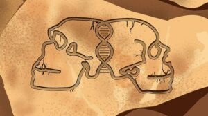 human-and-neanderthal-genes-m.jpg