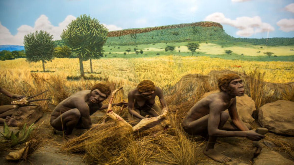 image_5980_1-Philippine-Hominins.jpg