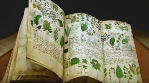 Il Mistero del Manoscritto di Voynich, scritto con una lingua sconosciuta