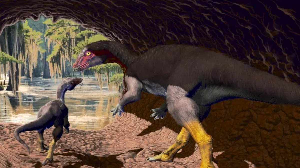 I paleontologi scoprono resti di una nuova specie di dinosauro che viveva sottoterra