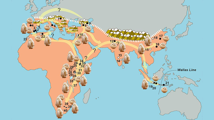 L'area occupata dagli antichi umani 700.000 anni fa (salmone), con siti dove sono stati trovati resti o strumenti. I possibili percorsi di migrazione sono segnati in giallo