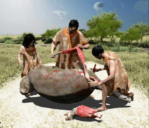 La scoperta dell’armadillo gigante: una nuova prospettiva sull’antica presenza umana nelle Americhe