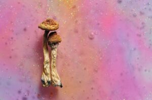 Il Potenziale Terapeutico dei Funghi Magici: Uno Studio Neuroscientifico Rivoluzionario