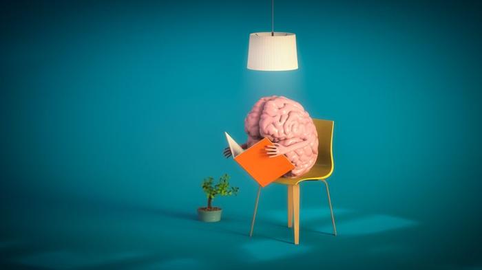 3d-rendering-of-a-brain-sat-in-a-yellow-chair-holding-a-book-with-weird-hands-and-reading-it-a-plant-in-the-background-and-a-light-above-it-on-a-dark-blue-background-m.jpg