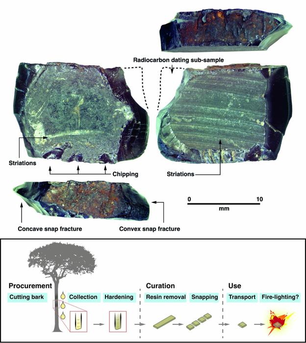 Manufatto di resina d'albero scavato dalla Grotta di Mololo, datato a 50.000-55.000 anni fa. Credito immagine: Dylan Gaffney (The Raja Ampat Archaeological Project).