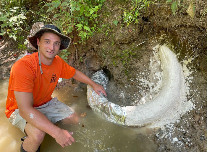 Un dipendente del Servizio Geologico di Stato con il dente mentre veniva coperto di alluminio e avvolto in strisce di tela di iuta imbevute di gesso per proteggerlo.