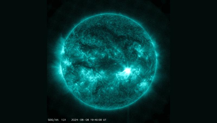 L'Osservatorio di Dinamica Solare della NASA ha catturato questa immagine di un brillamento solare, come si vede nel bagliore luminoso a destra, l'8 agosto 2024. L'immagine mostra un sottoinsieme di luce ultravioletta estrema che mette in evidenza il materiale estremamente caldo nei brillamenti e che è colorato in turchese