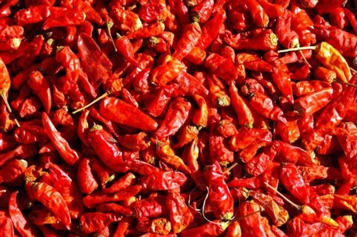 hottest-chili-peppers-m.jpg