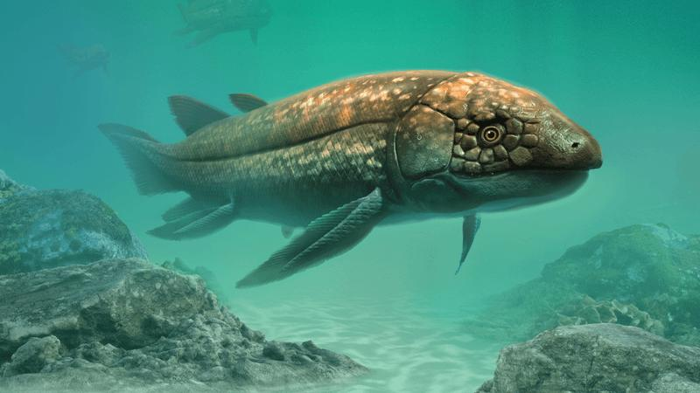 lungfish-fossil-m.png