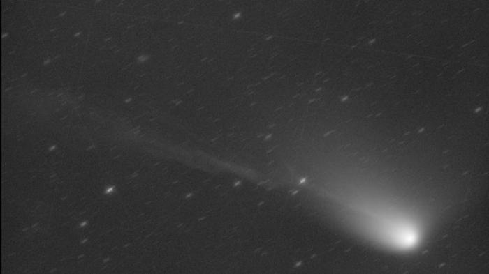 Un'immagine in bianco e nero della cometa Olbers. La sua coda ionica ha una forma simile a un fulmine