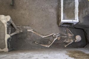 pompeii-skeletons-m-1.jpg