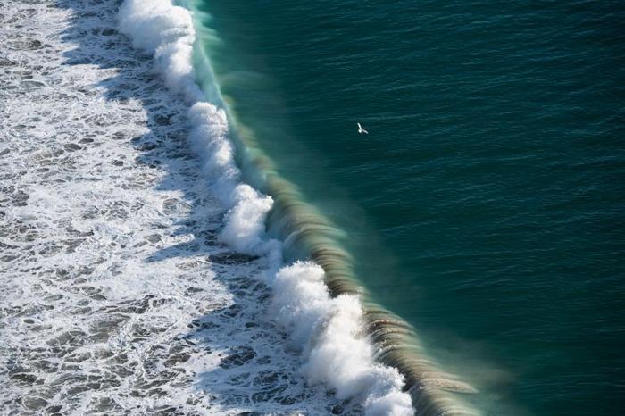 scatto aereo di una grande onda che si infrange con molta schiuma bianca; un piccolo uccello marino è visibile volare sopra di essa.