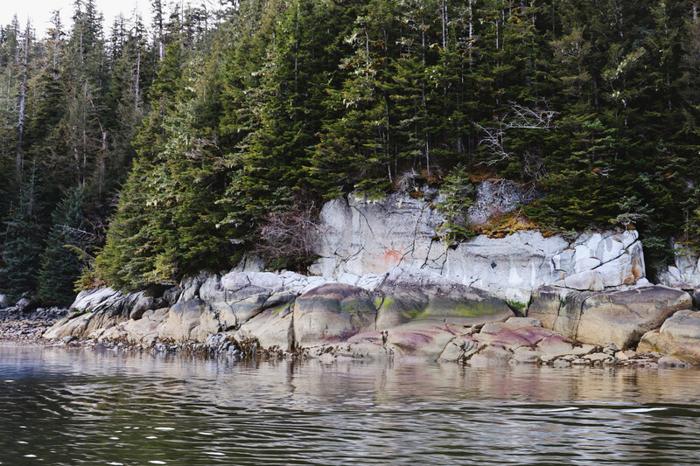 Sul fiume Unuk in Alaska.